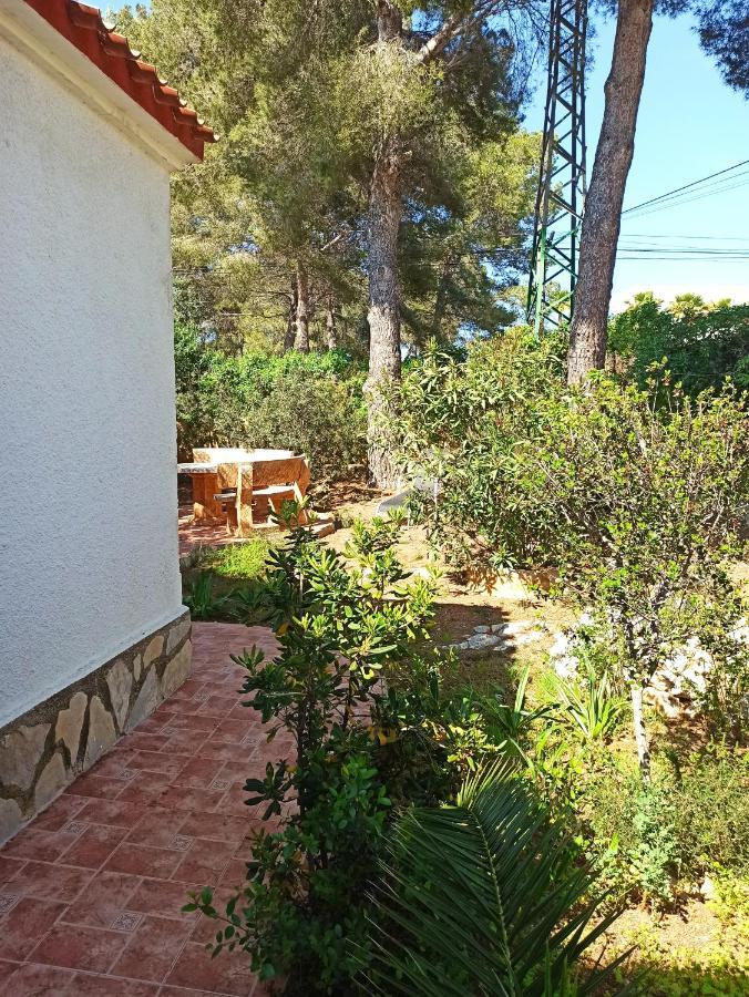 Javea Villa El Nido 10-15P Pool Minimaal 10 Nachten Geen Groep Jongelui Bagian luar foto
